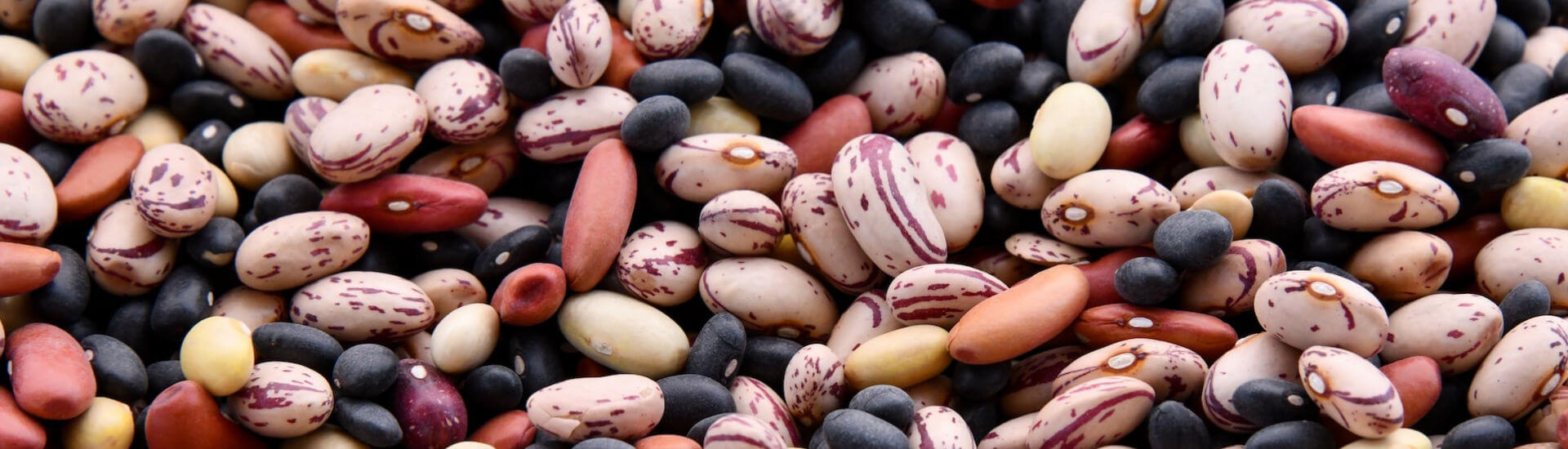 Eine geballte Ladung Ballaststoffe DocCheck