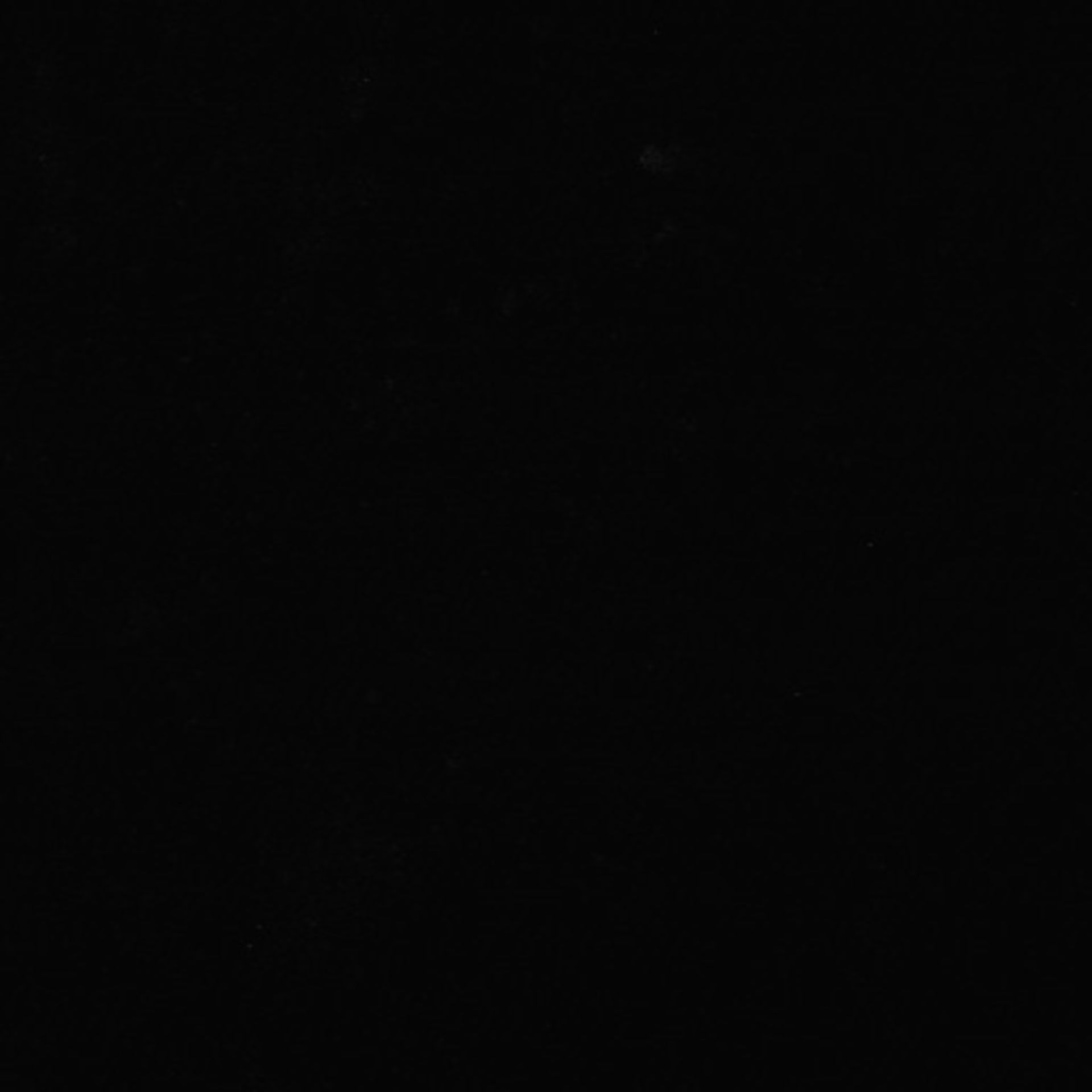 Xenopus laevis (Axon) - CIL:36975