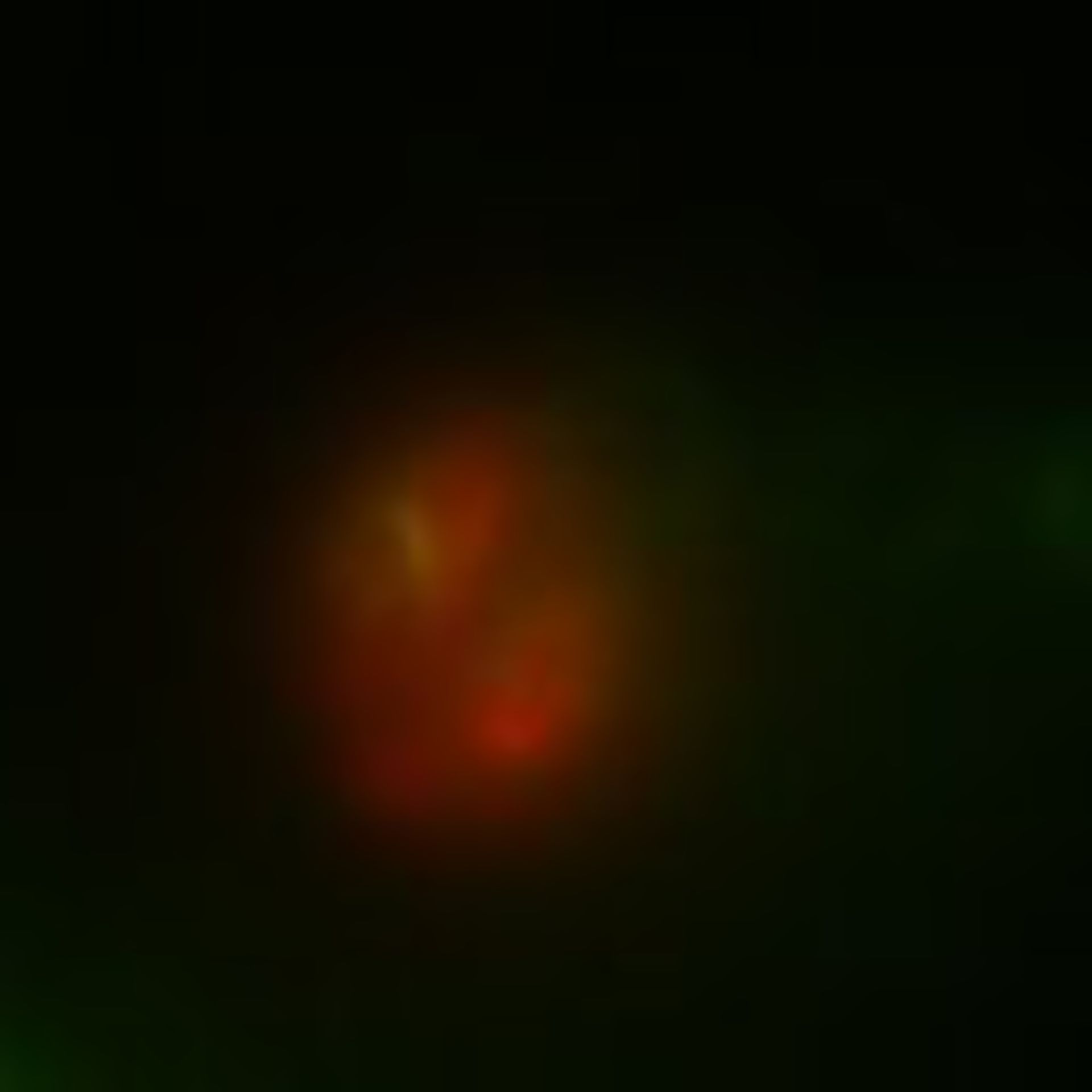 Toxoplasma gondii RH (Basal part of cell) - CIL:10520