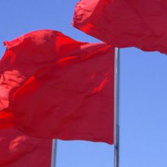 Petechie DocCheck Flexikon