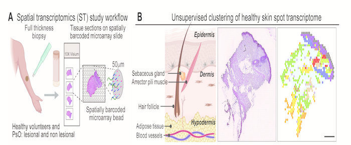 low-res_abq7991_fig.1rev_final_form_v3_original.jpg