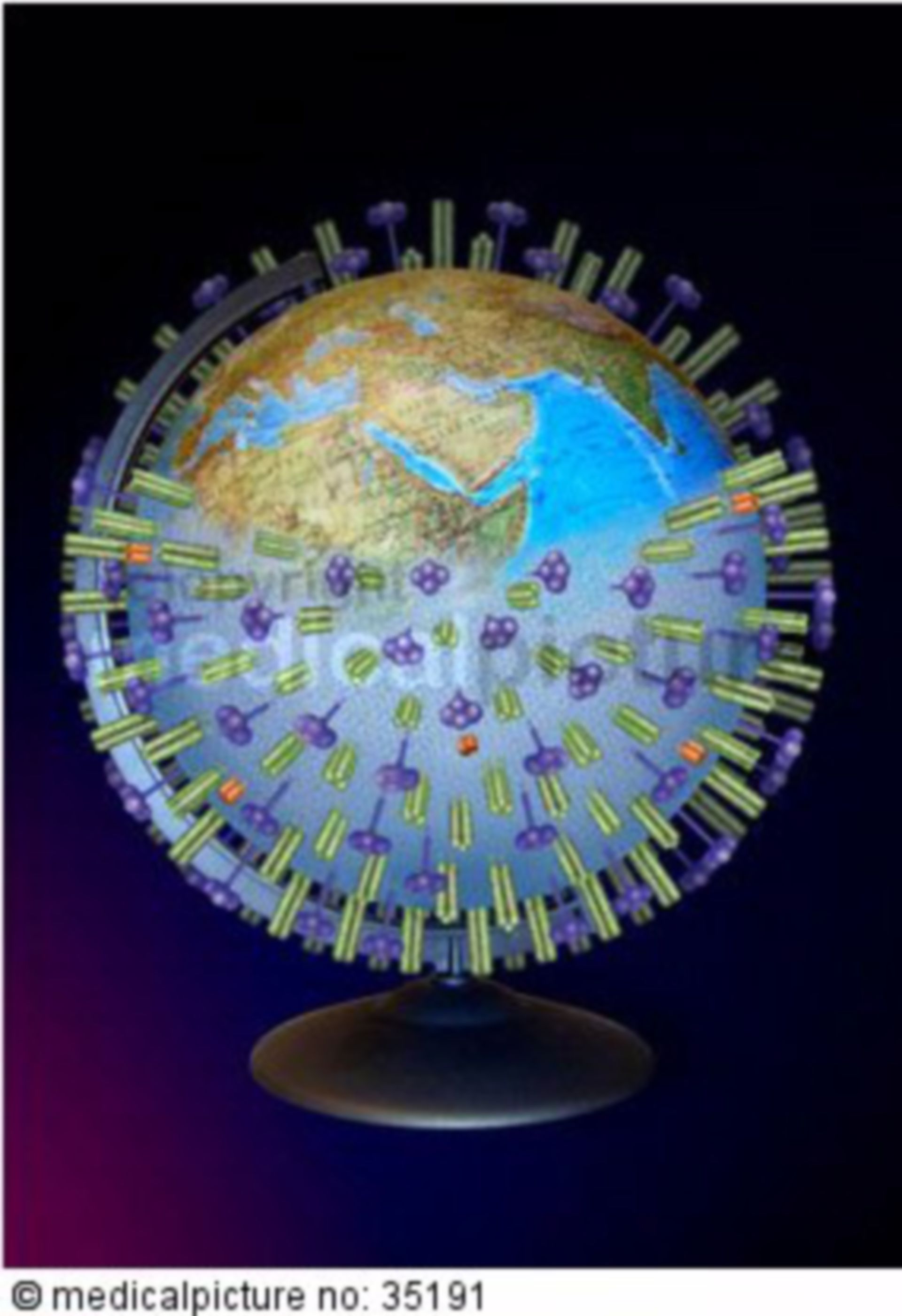  Weltweite Verbreitung des H5N1 Virus, Global  dispersion of H5N1 virus 
