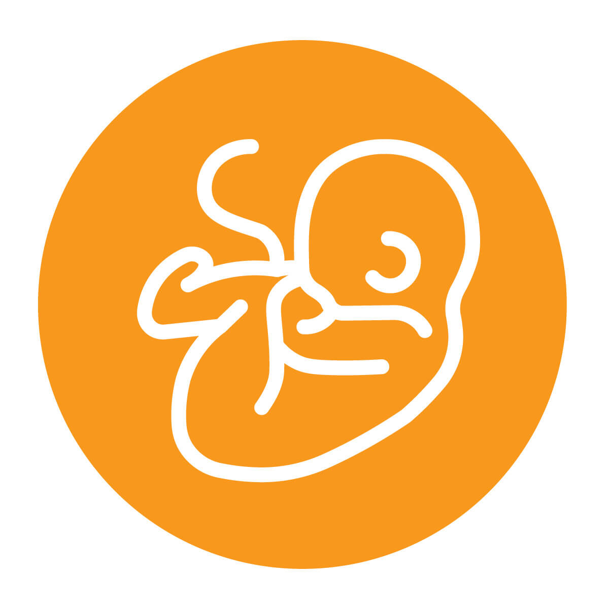 tak_rev_icons_lg_230810_baby_original.jpg