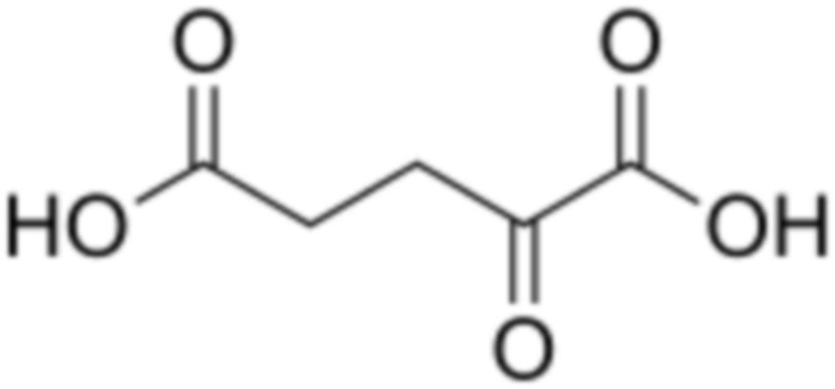 2-oxopentanedioic_acid_200.svg