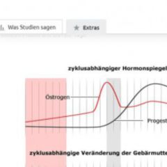 Hypermenorrhö DocCheck Flexikon
