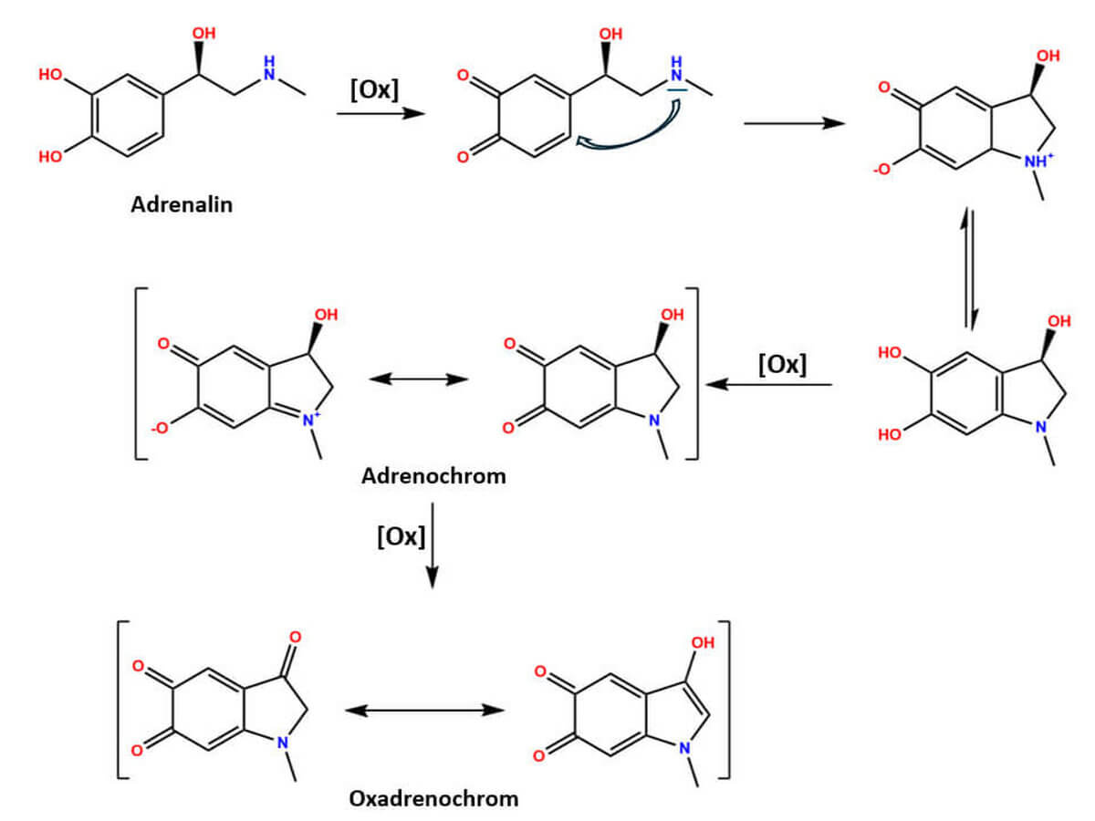 Adrenochrom-Reaktion