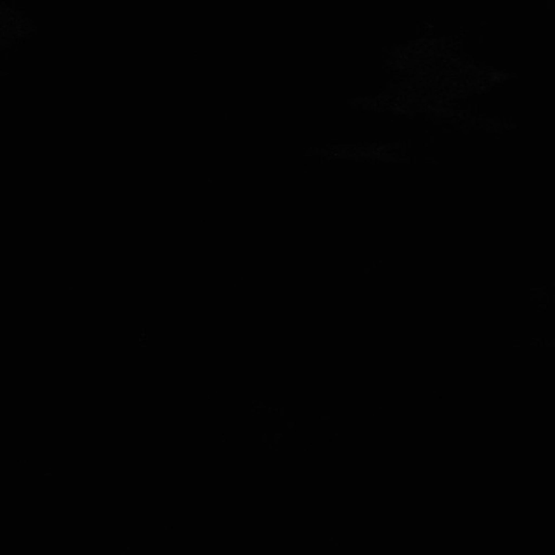 Xenopus laevis (Axon) - CIL:36845