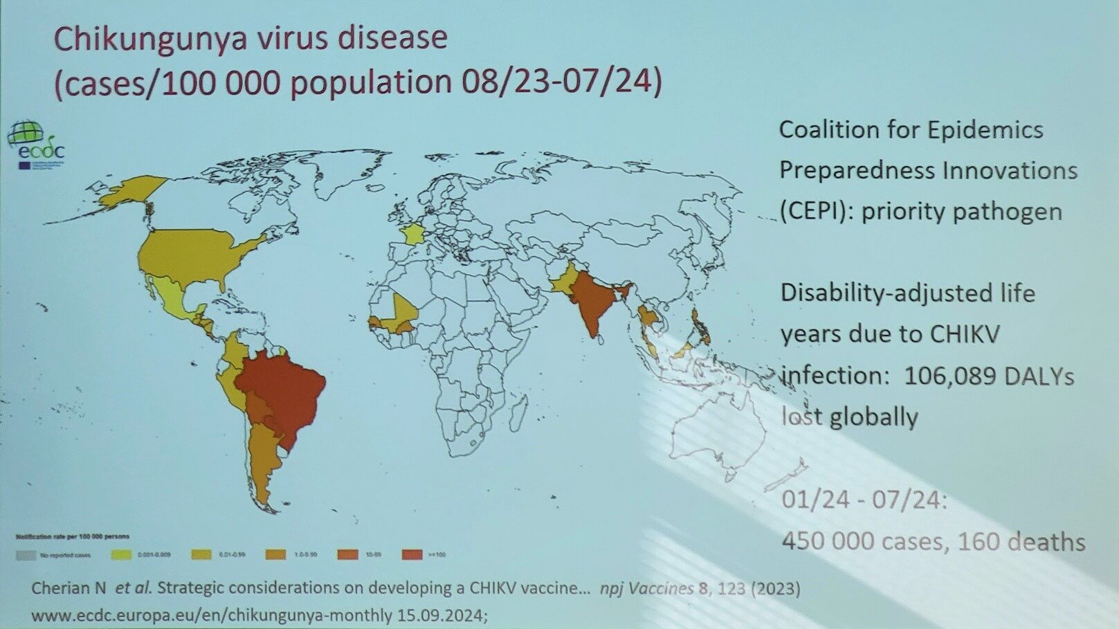 doccheck_-_12_-_neuesvomctm2024_-_01_-_chikungunya_original.jpg