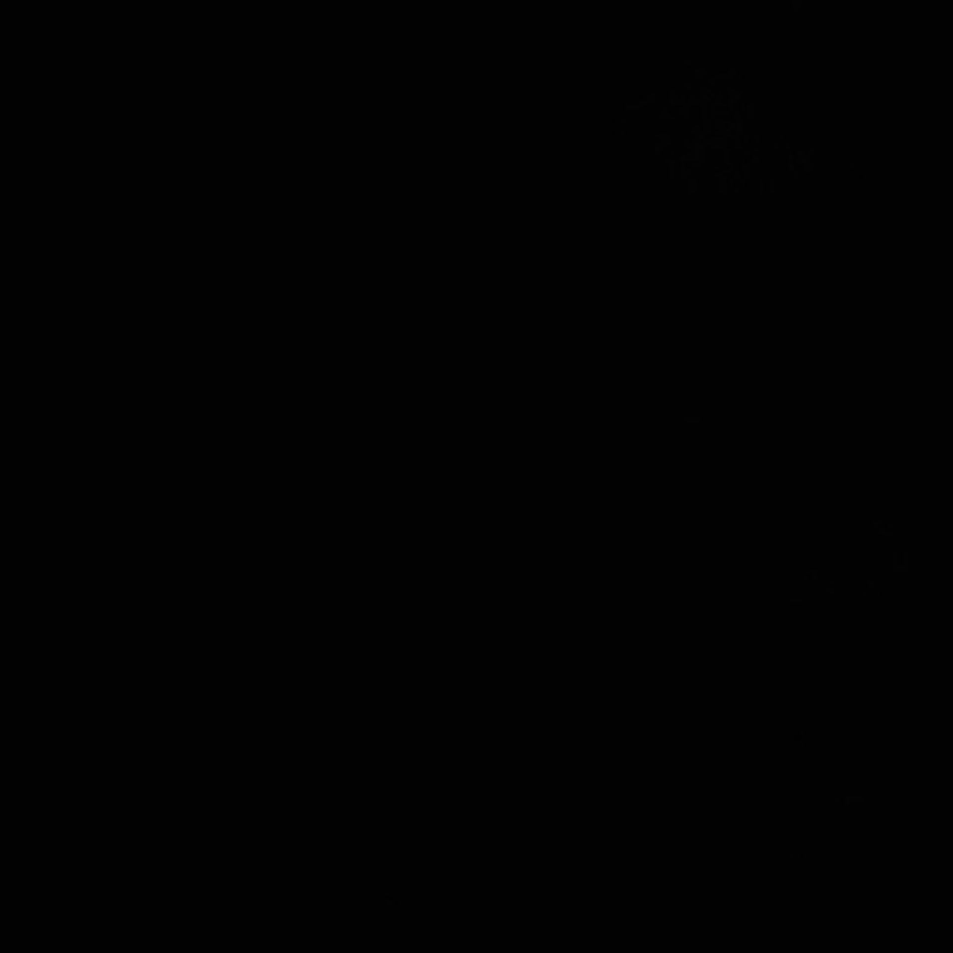 Xenopus laevis (Axon) - CIL:36857
