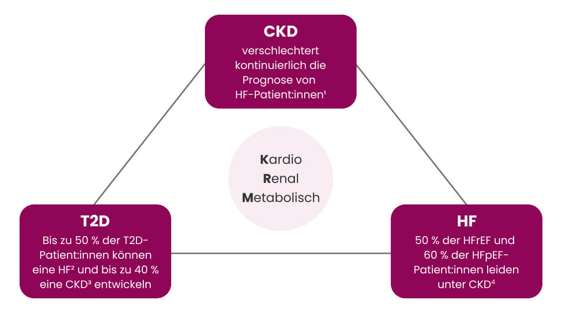 img-kardio_renal_metabolisch_original.jpg