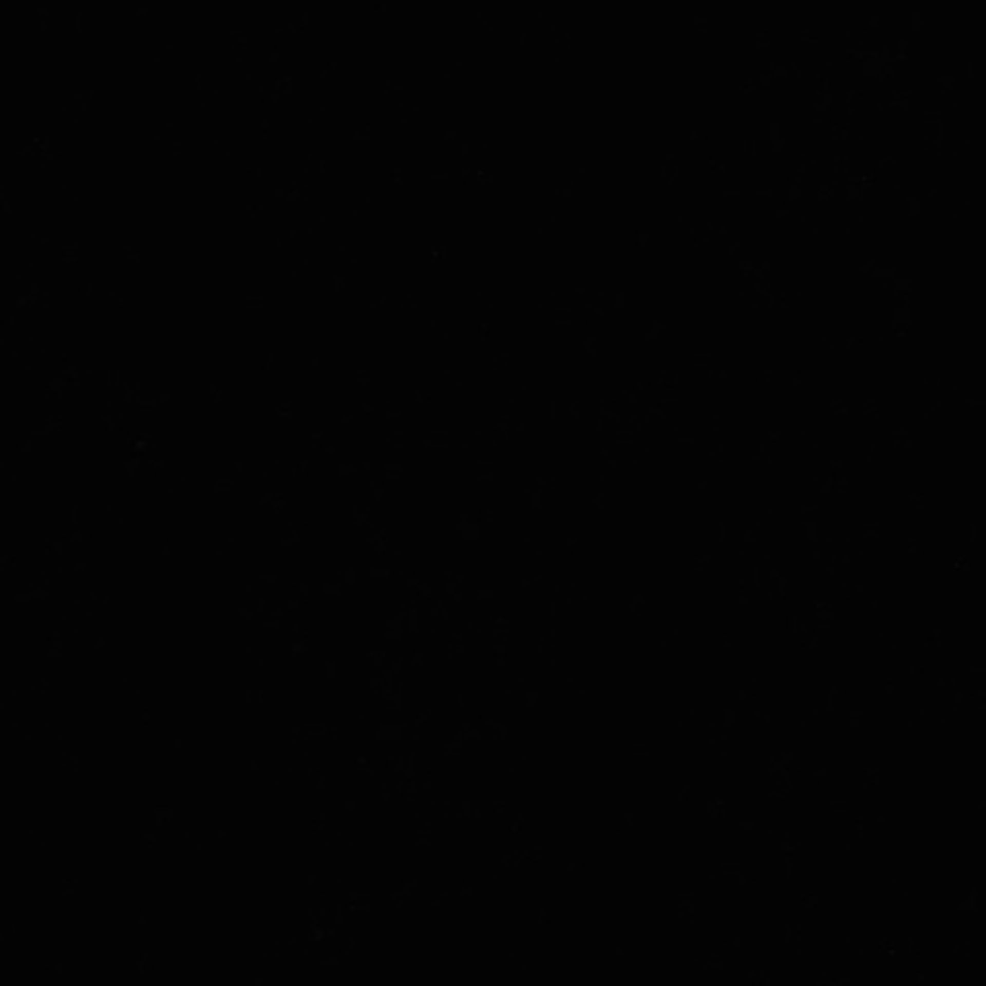 Xenopus laevis (Axon) - CIL:36964