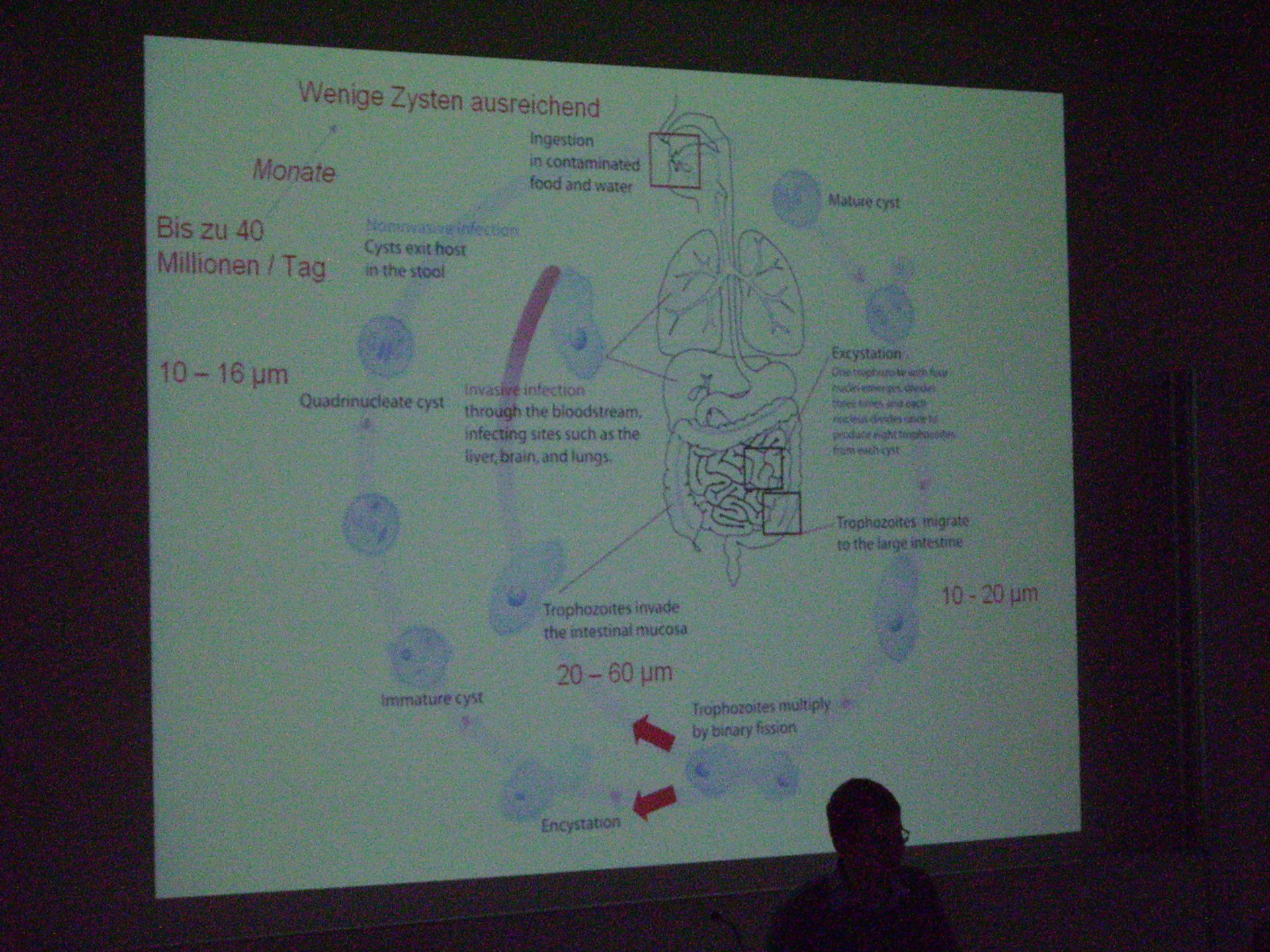 Corso di medicina tropicale a Lipsia