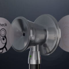 Area striata DocCheck Flexikon