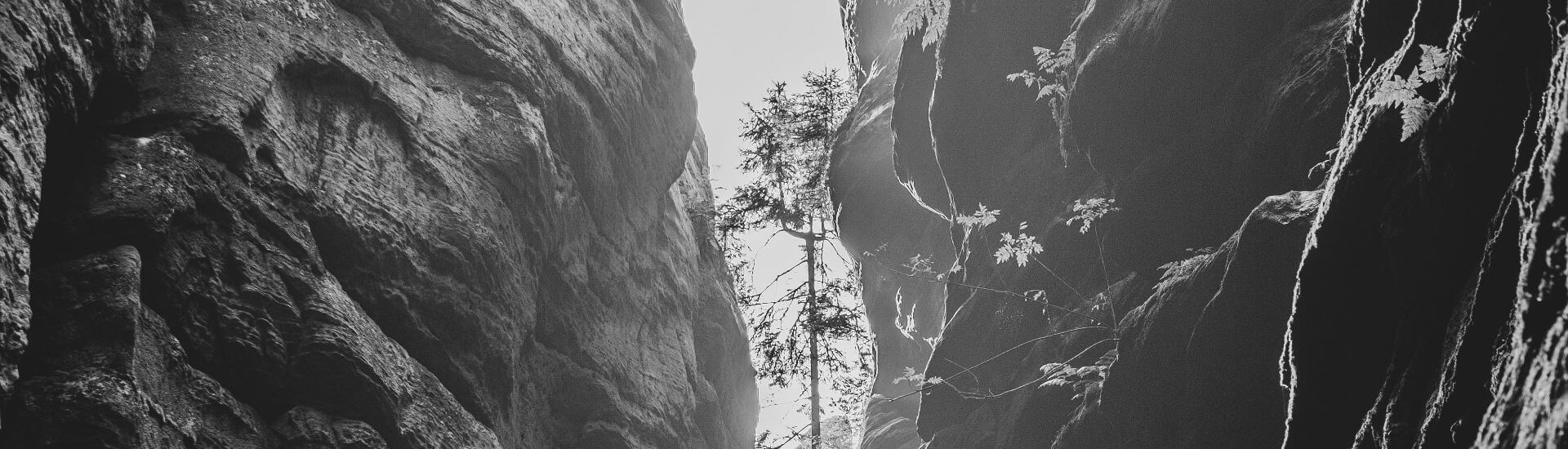 Sensibler Engpass DocCheck