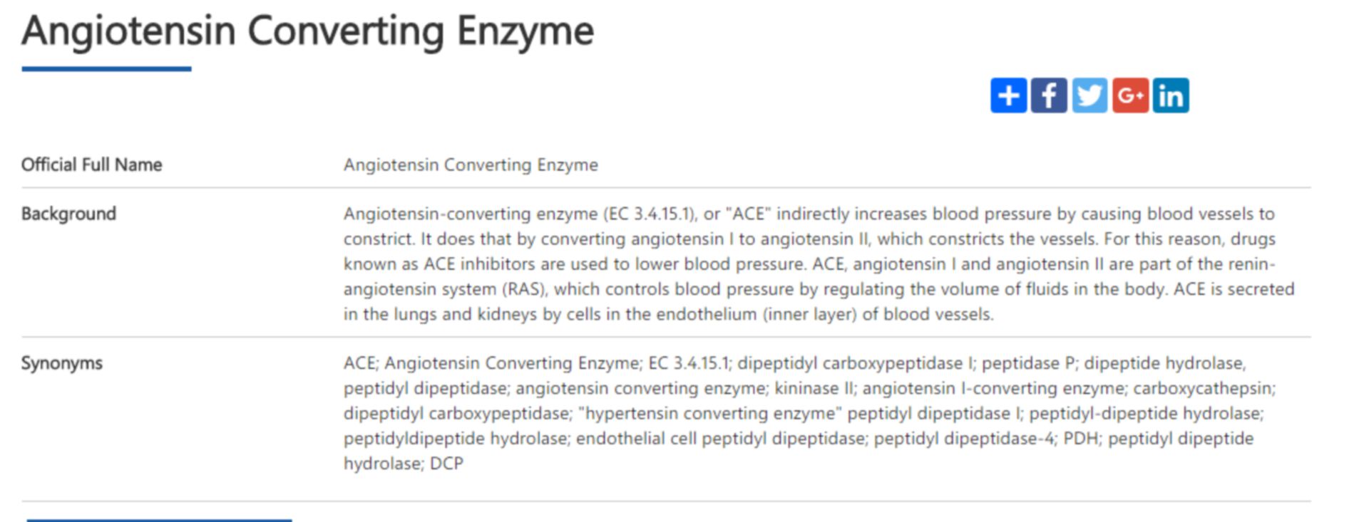 ace enzyme