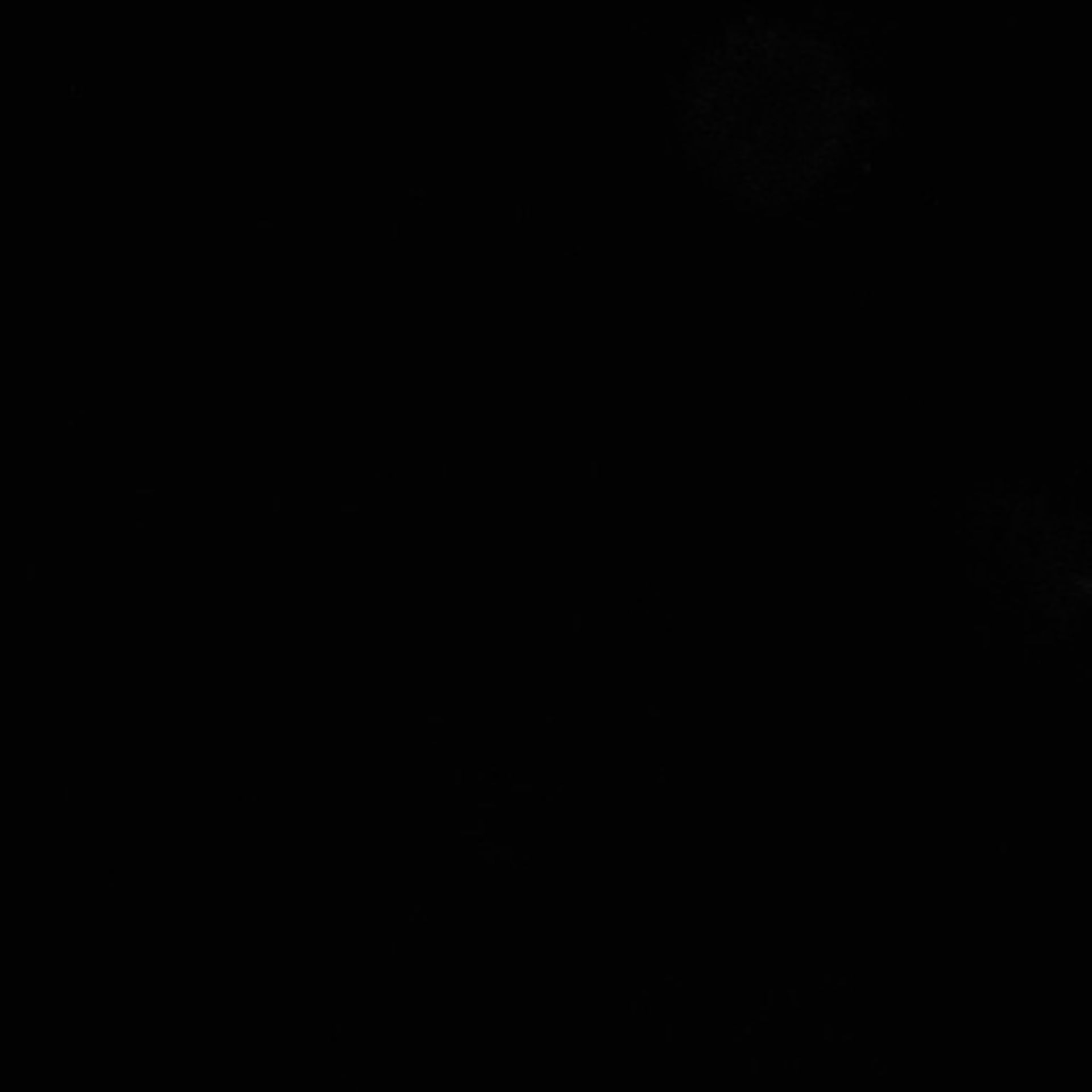 Xenopus laevis (Axon) - CIL:36853