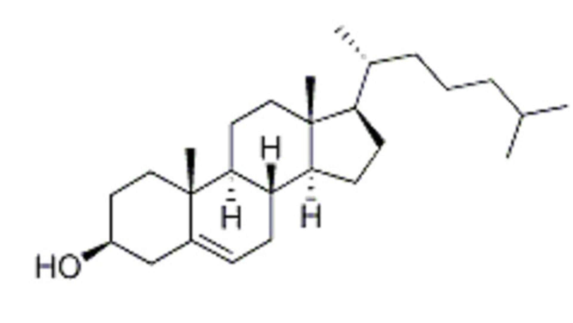 Cholesterol-siRNA Conjugates