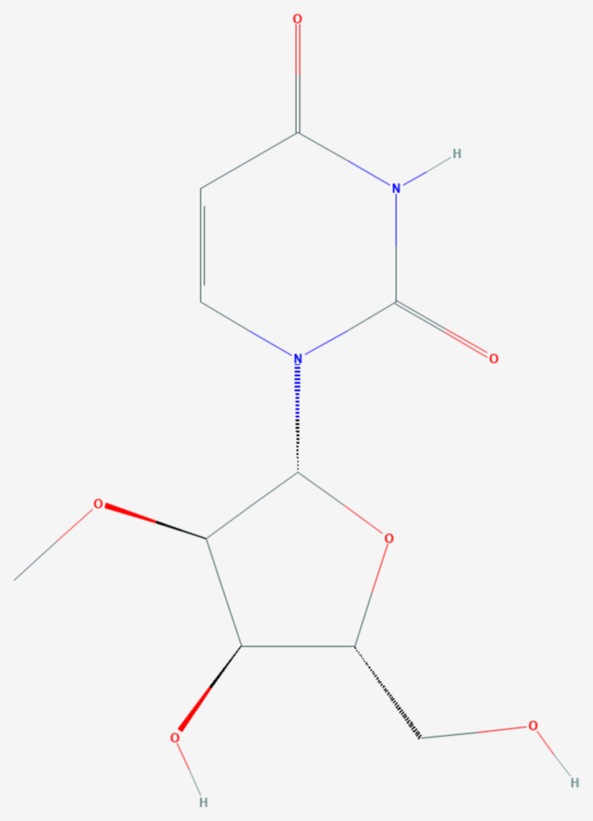 2′-O-Methyluridin (Strukturformel)