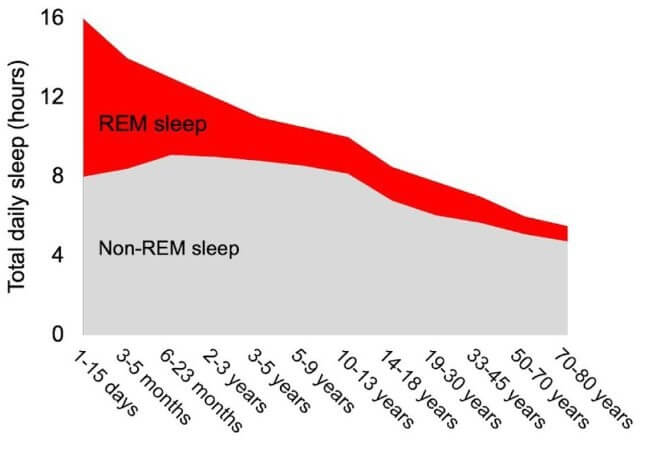 sleep3_original.jpg