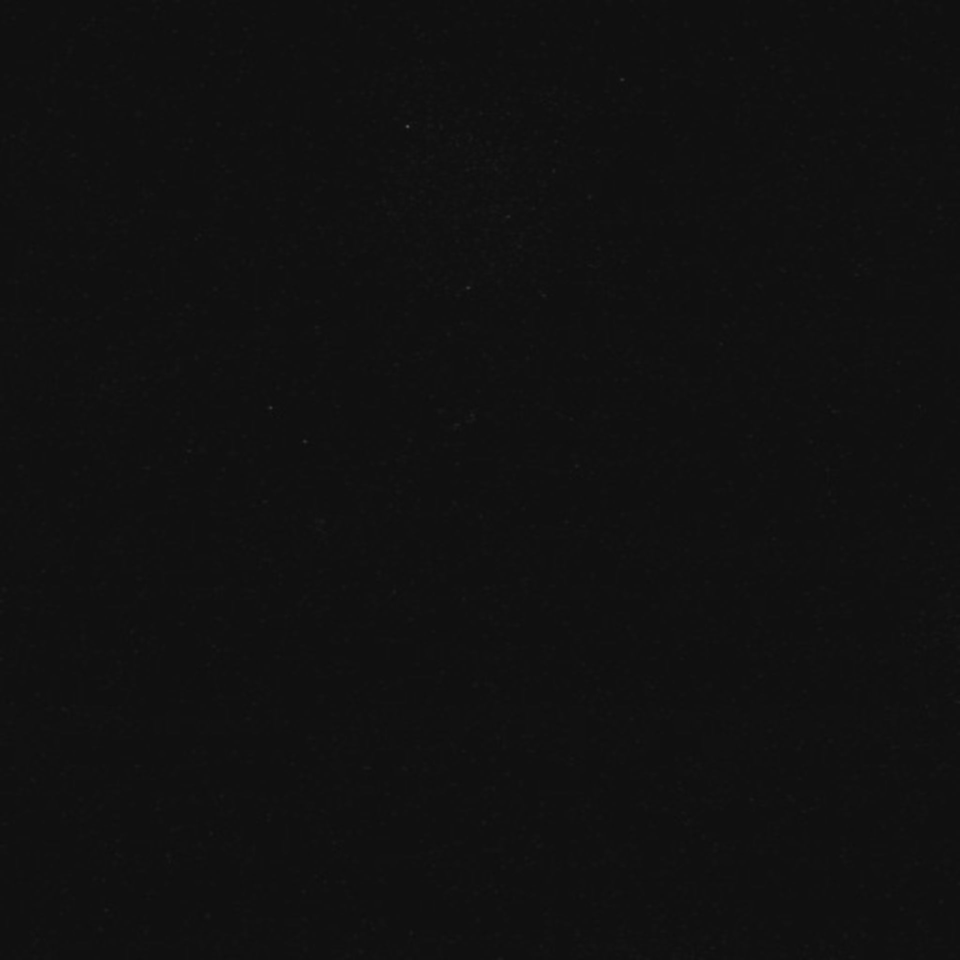 Xenopus laevis (Axon) - CIL:36940