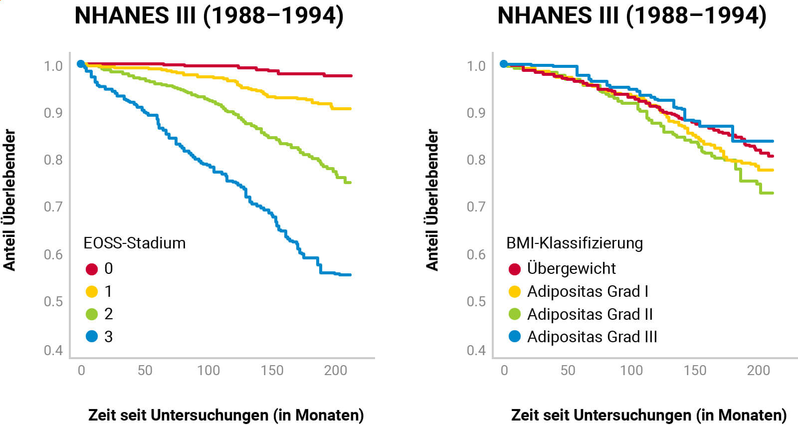 210921_infografiken_nhanes-iii-adipositas_original.jpg