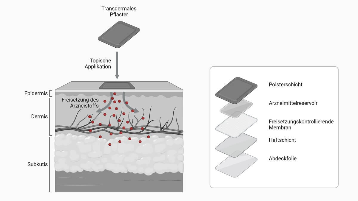 Funktionsweise eines Transdermalen Therapeutischen Systems (TTS)