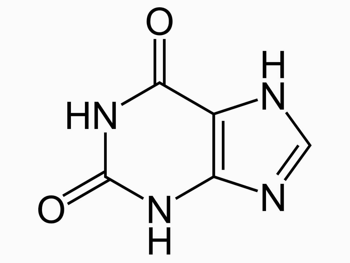 Xanthin
