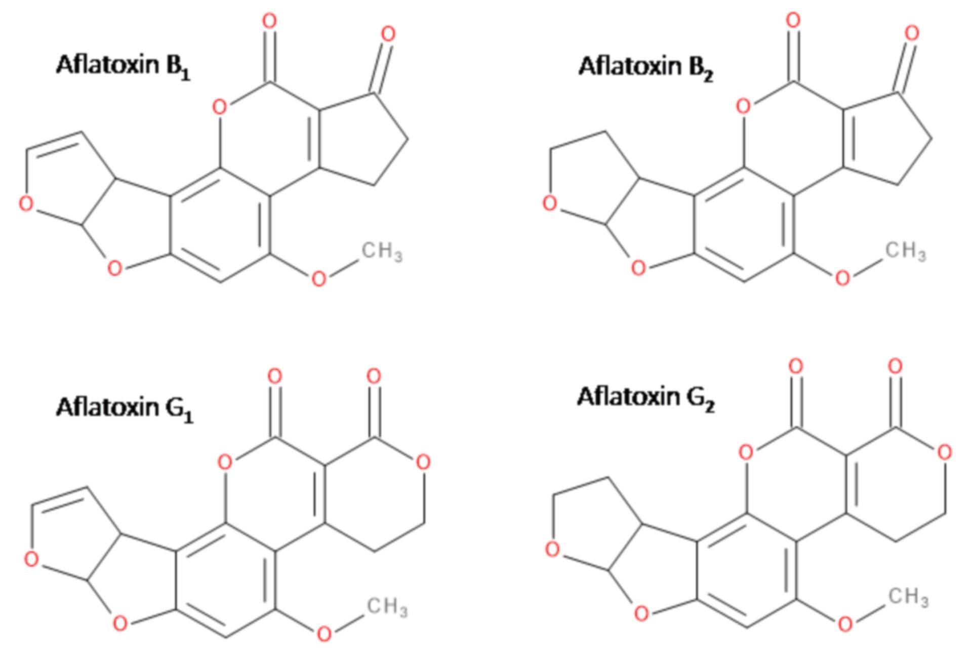 Aflatoxine