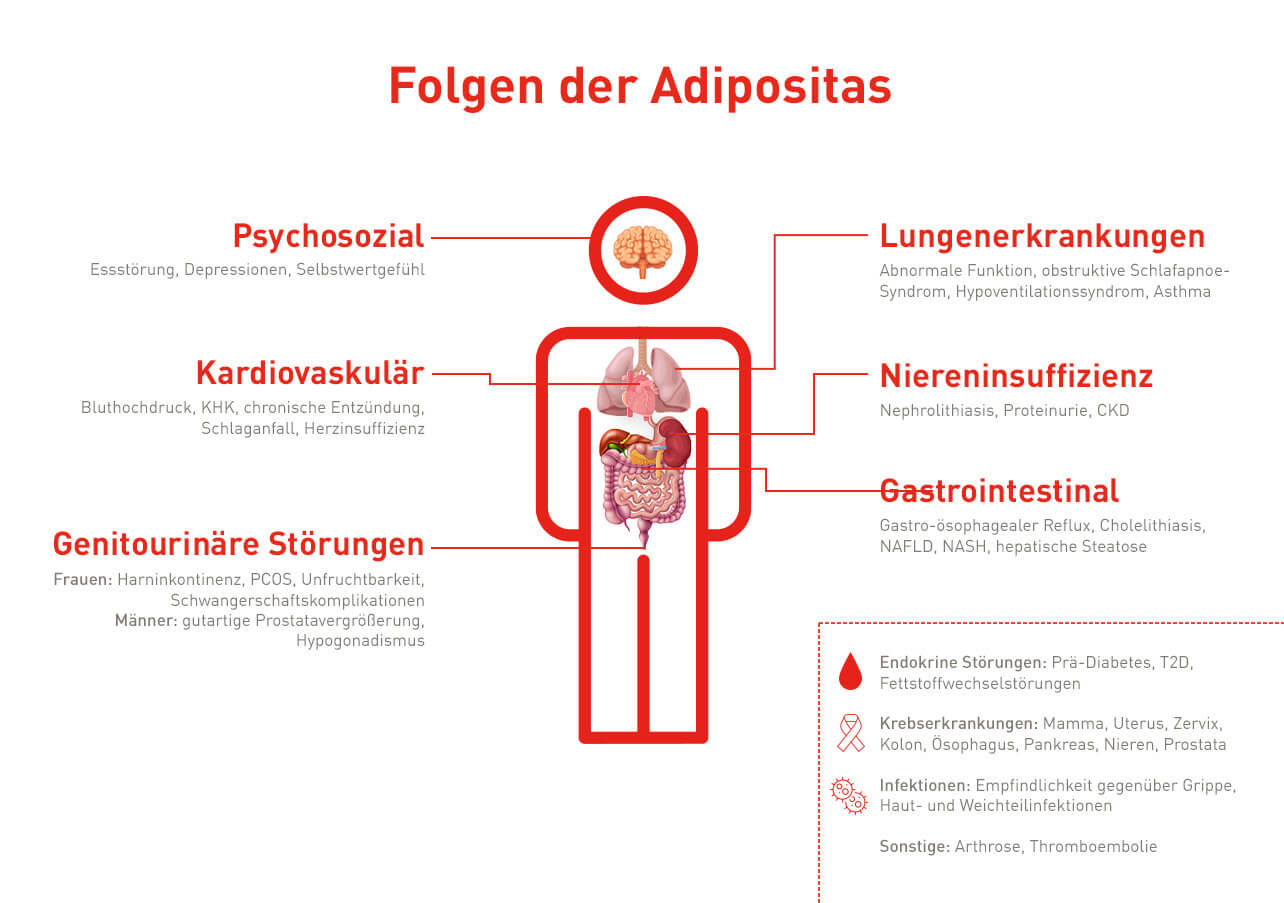 Relevante Bildbeschreibung