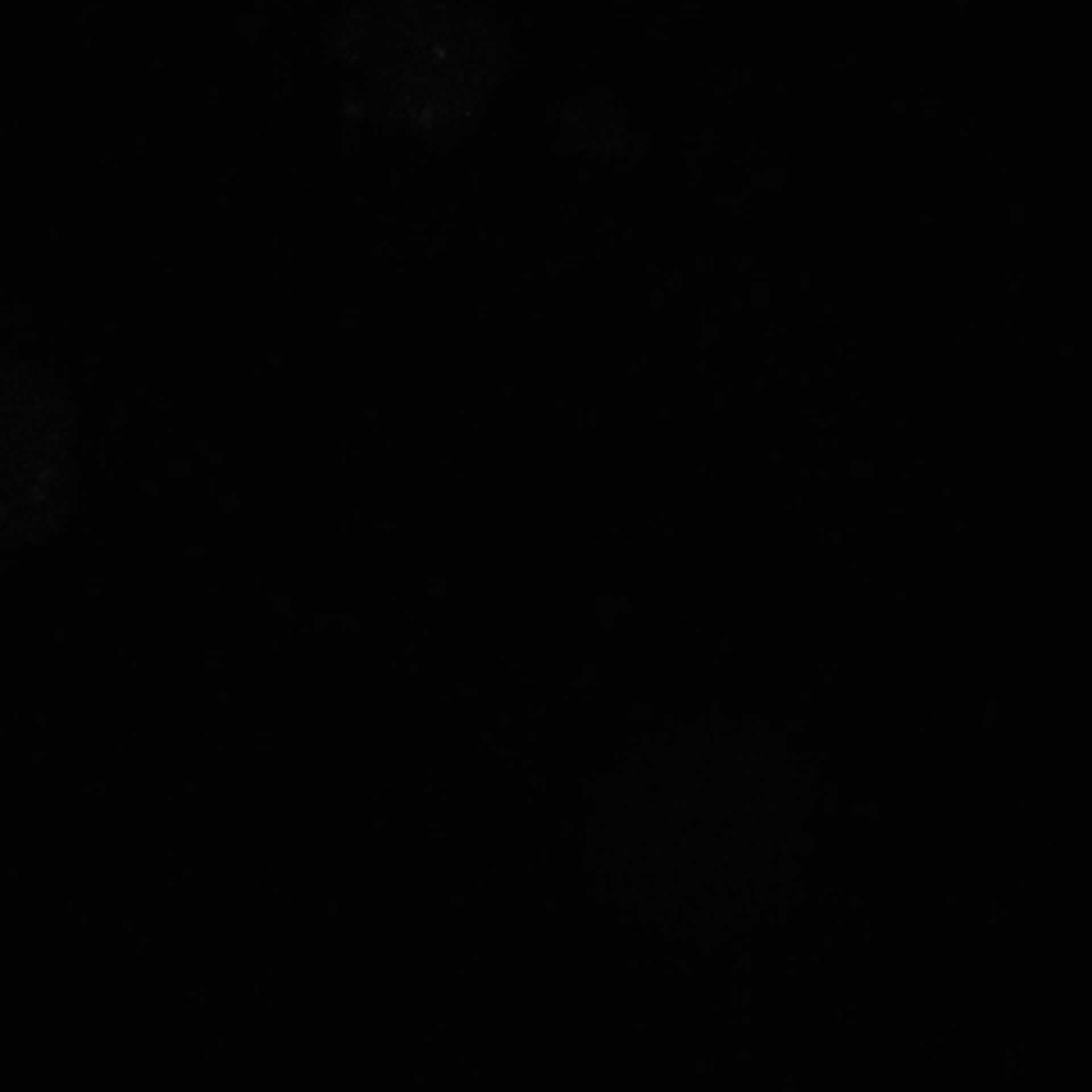 Xenopus laevis (Neuronal cell body) - CIL:36991