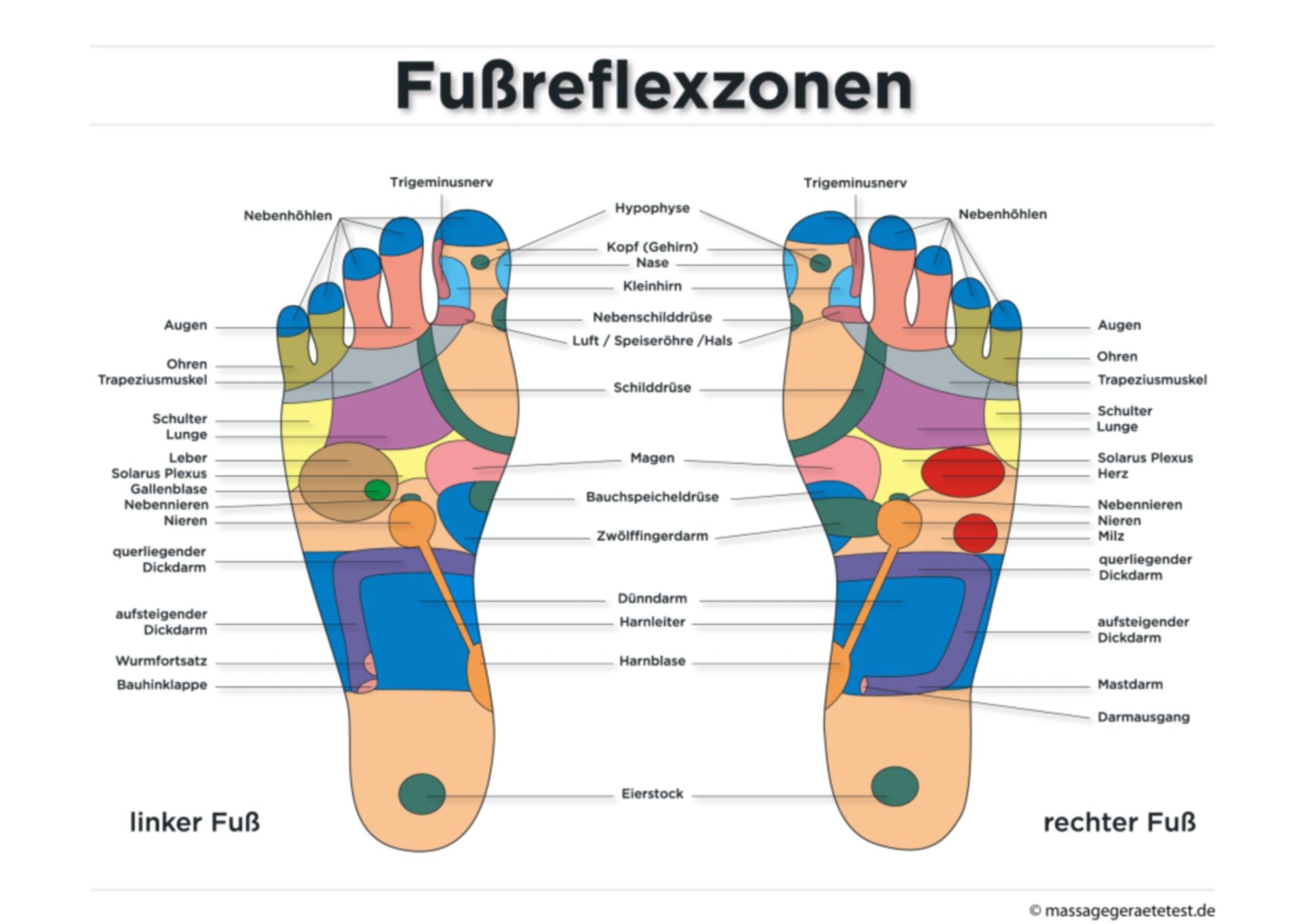 Übersicht über Fußreflexzonen (Infografik)