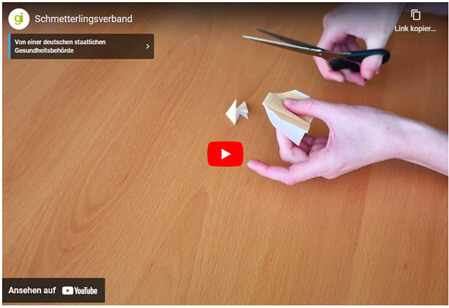 screenshot-schmetterlingsverband-video_original.jpg