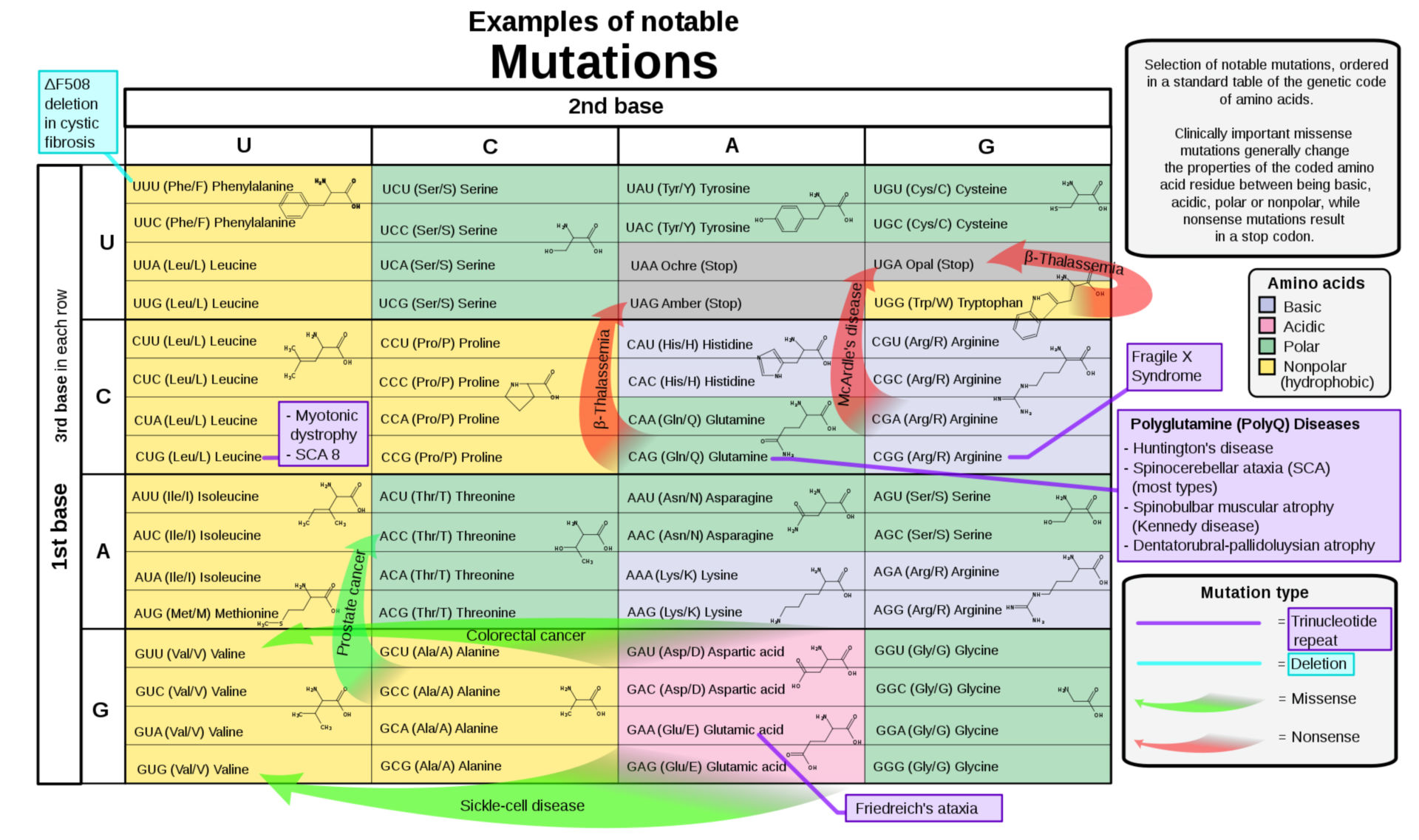 Selection of disease-causing mutations, in a standard table of the genetic code of amino acids
