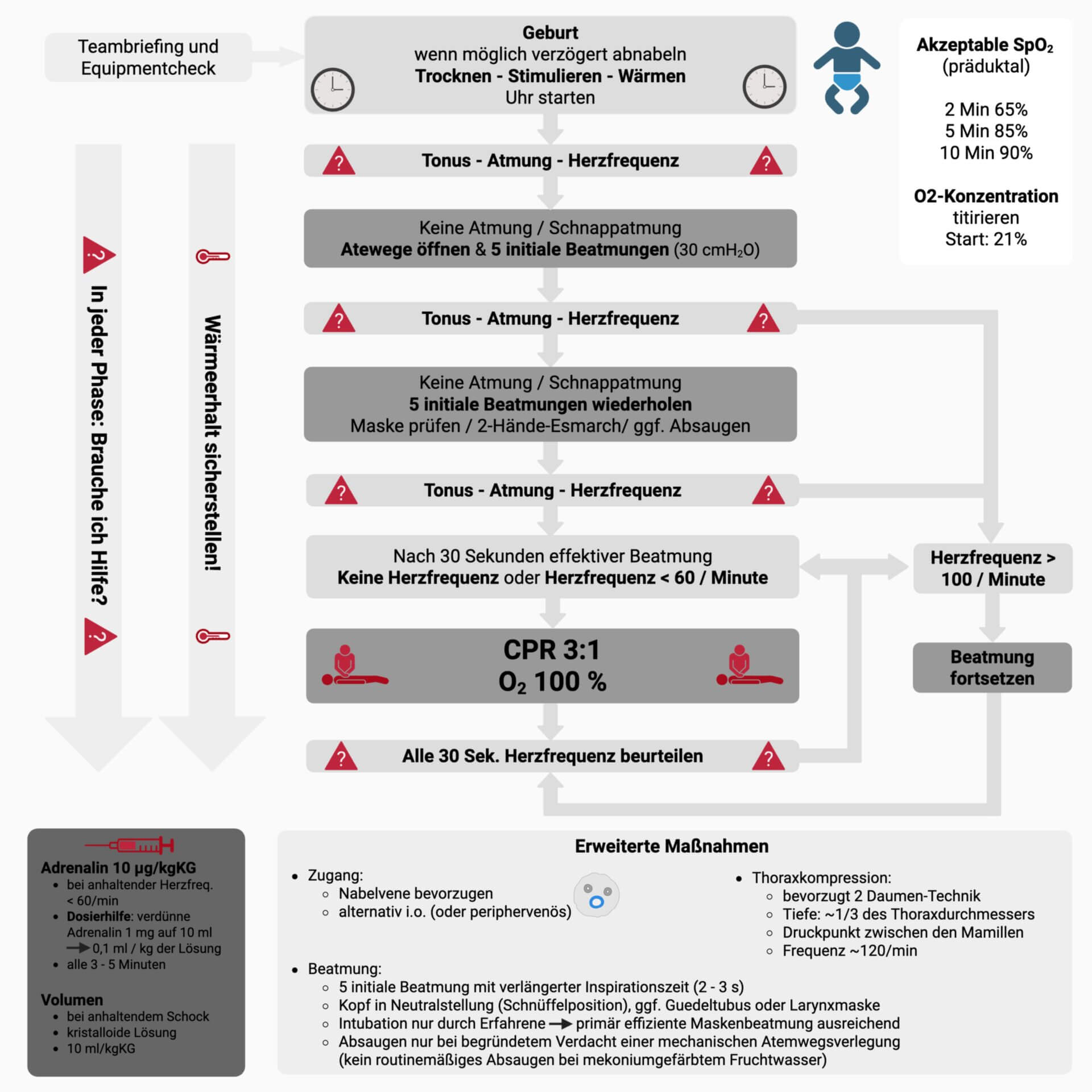 Neugeborenenreanimation