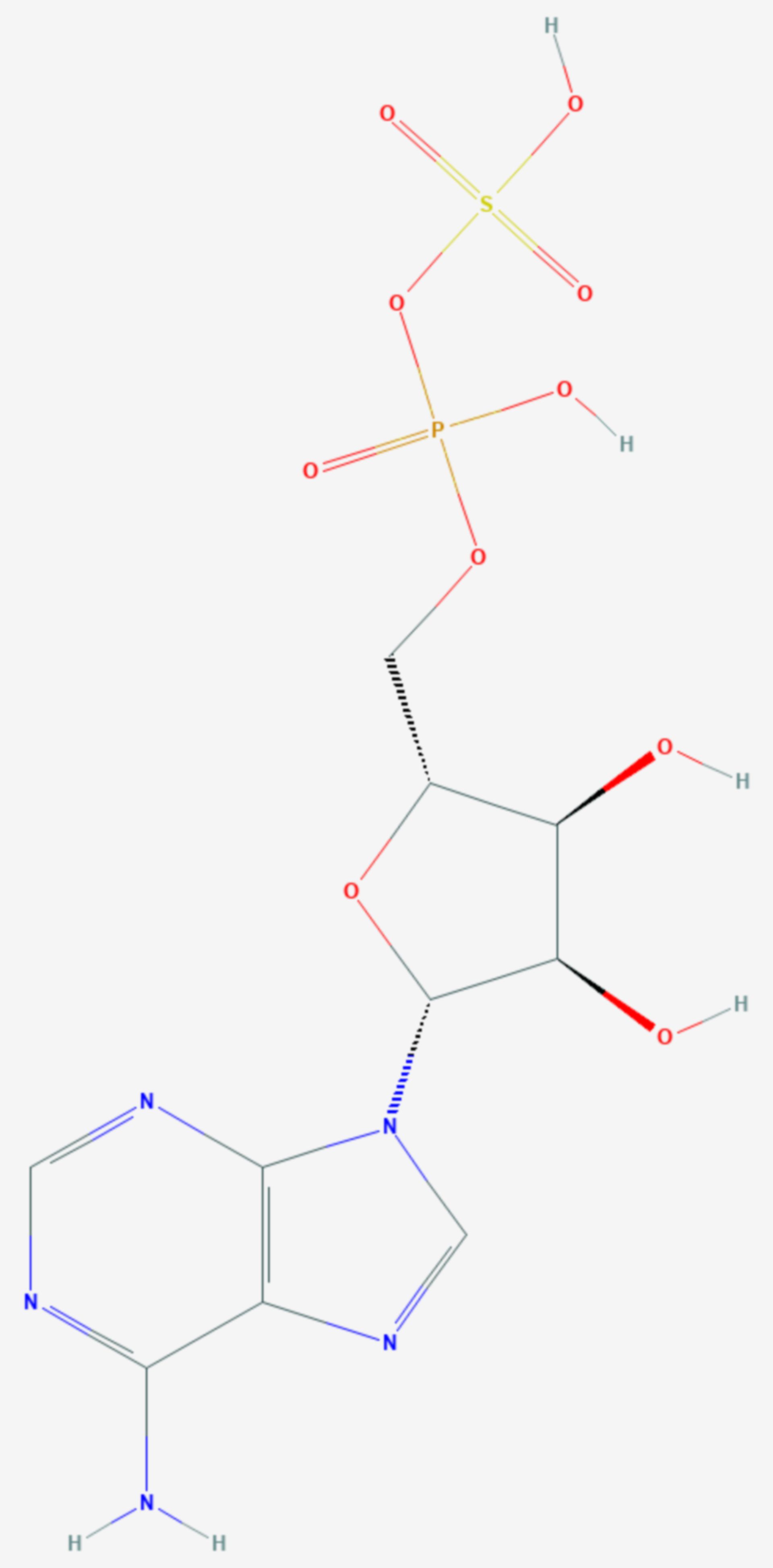 Adenosinphosphosulfat (Strukturformel)