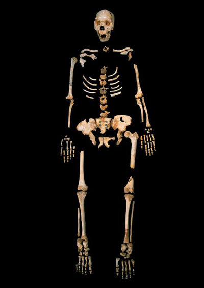 Skelett eines Homo heidelbergensis aus Sima de los Huesos, einer einzigartigen Höhle in Nordspanien.