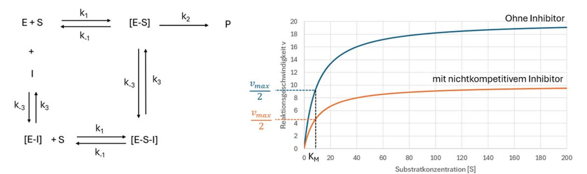 nichtkompetitive Hemmung