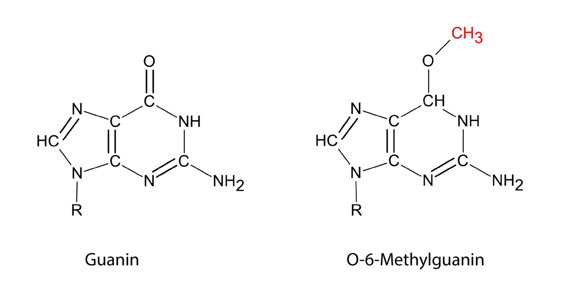 O-6-Methylguanin
