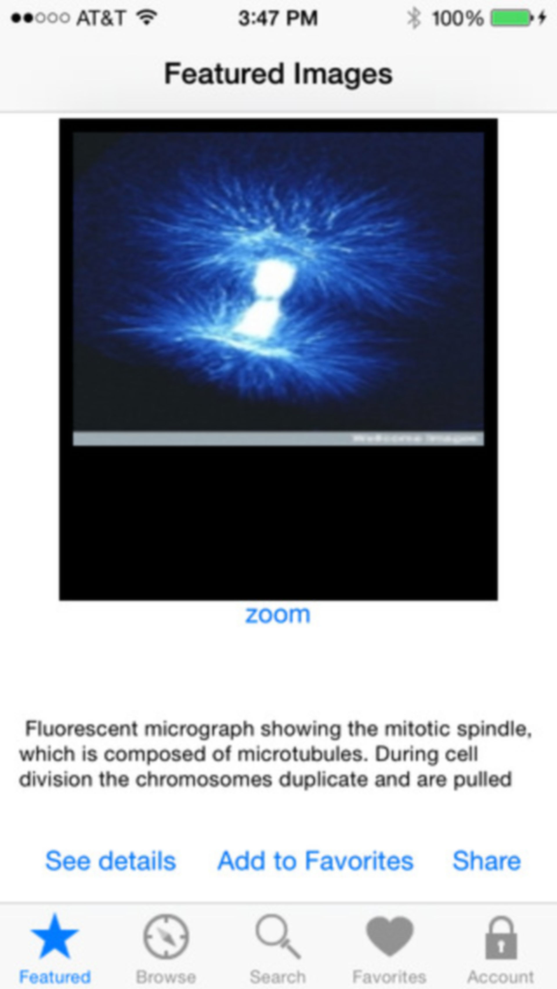 This week we present the whole library as the Image of the Week - October 20, 2014