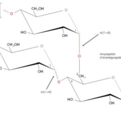 Polysaccharid Doccheck Flexikon