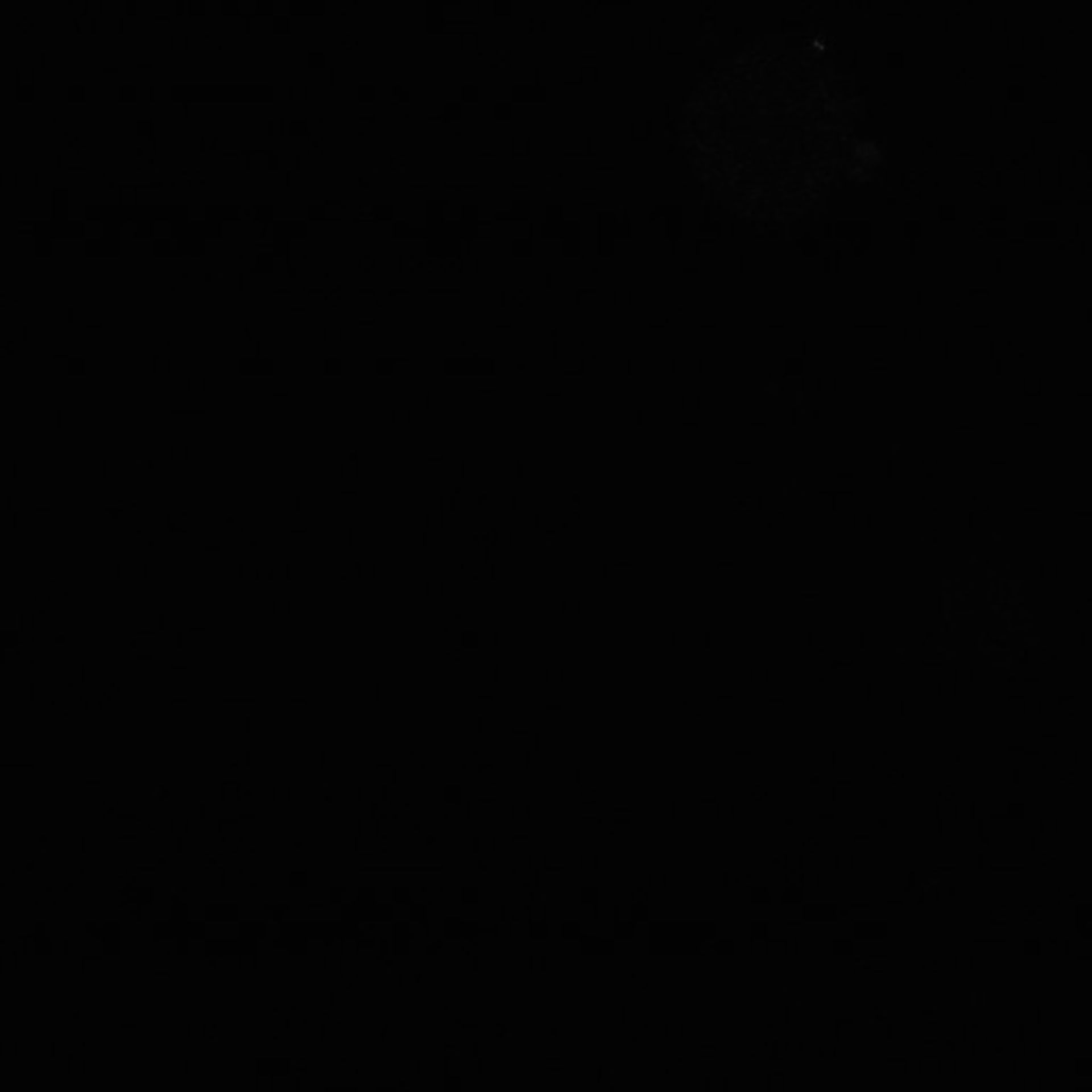 Xenopus laevis (Axon) - CIL:36858