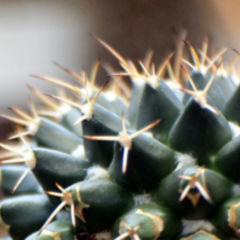 Sphingosin DocCheck Flexikon