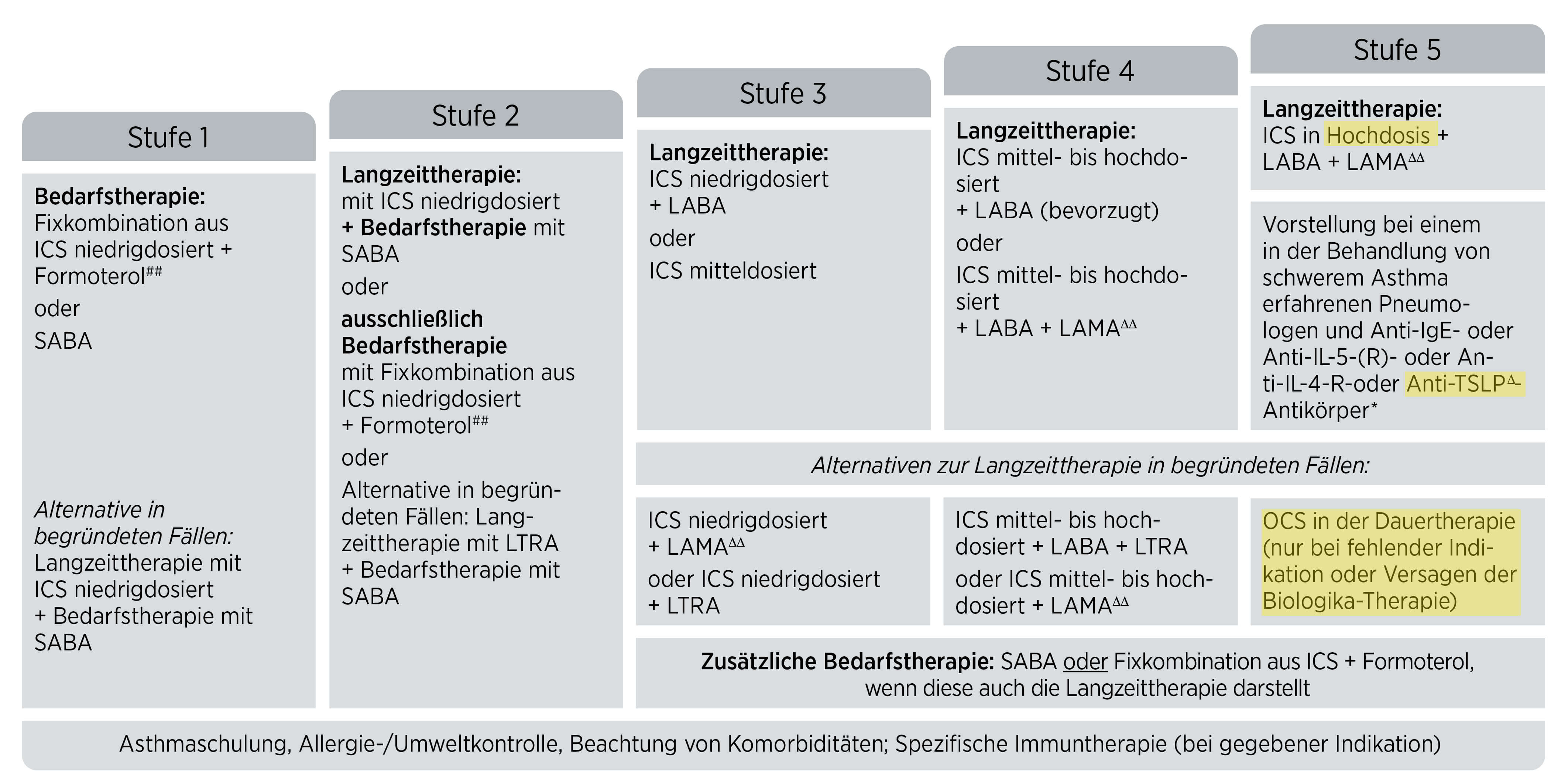 nvl-asthma-2024-300ppi_bearbeitet_original.jpg