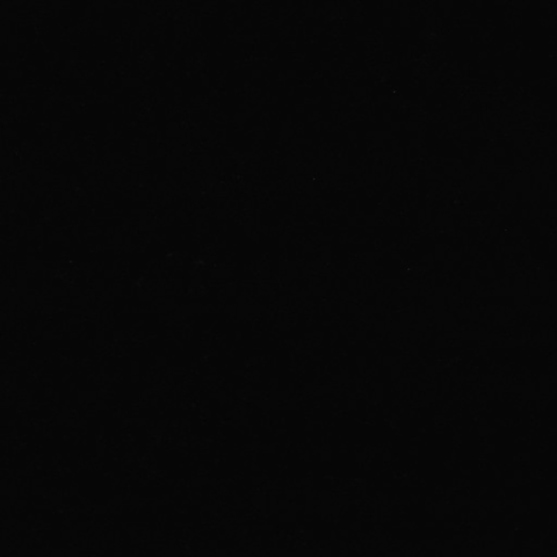 Xenopus laevis (Axon) - CIL:37001