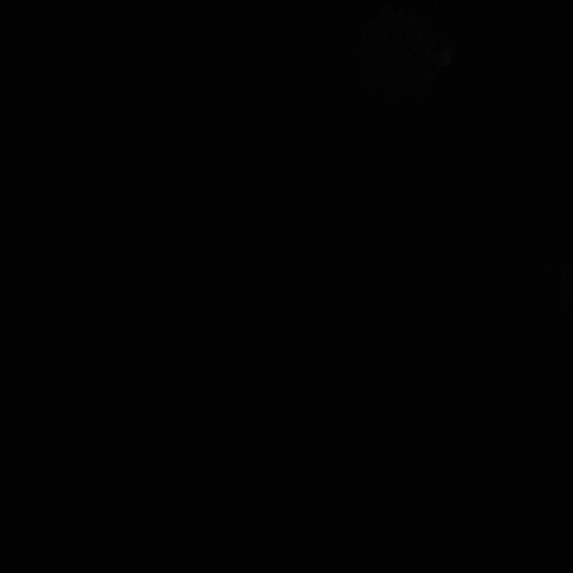Xenopus laevis (Axon) - CIL:36852