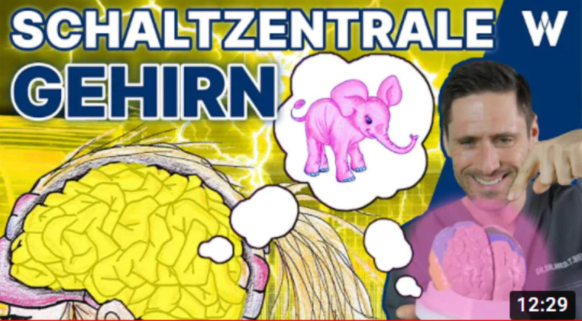 Das Gehirn: Aufbau & Funktion - Wie entstehen im Kopf unsere Gedanken, Gefühle & Intelligenz?