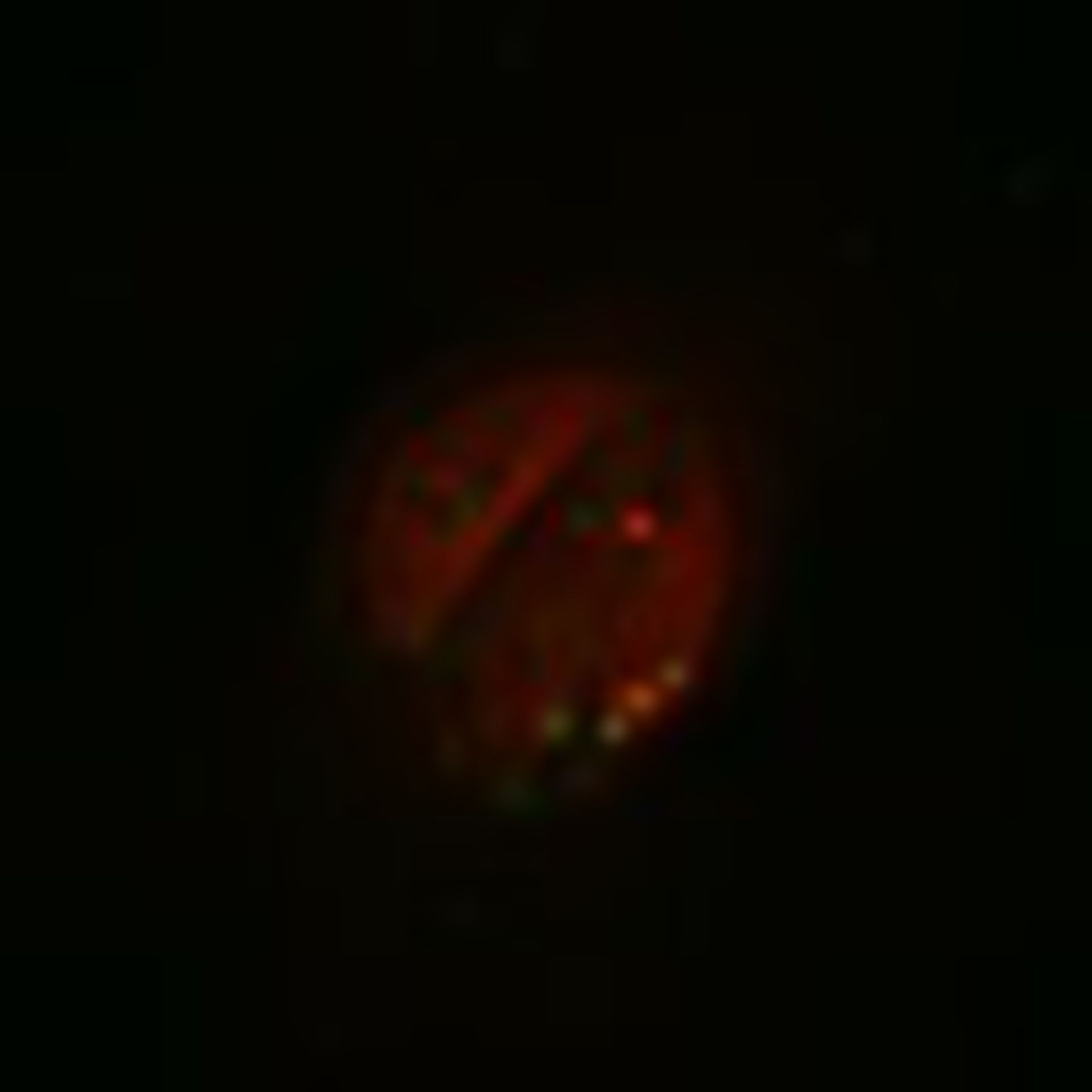 Toxoplasma gondii RH (Polar ring of apical complex) - CIL:10506