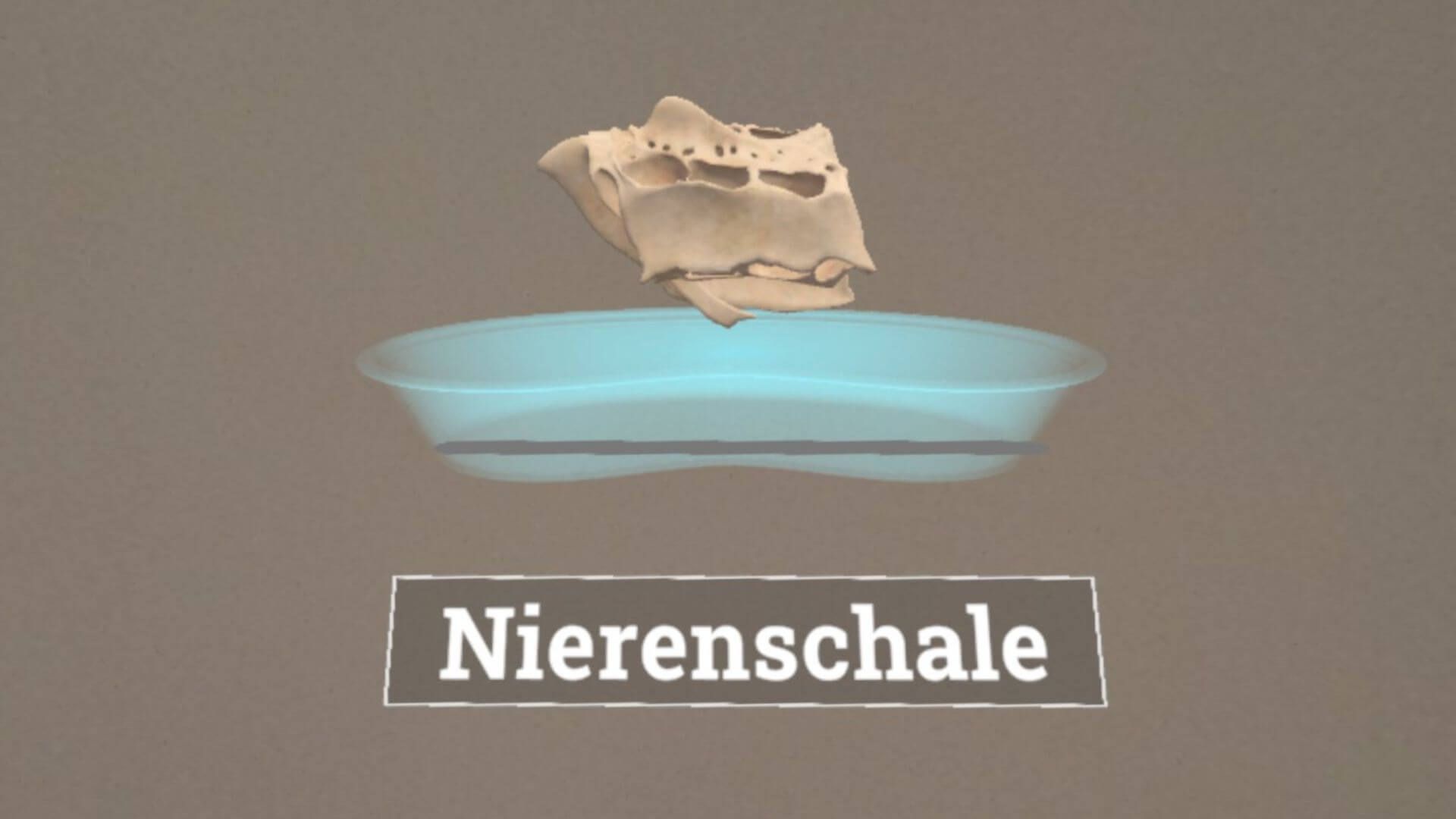 Corpus – Nierenschale