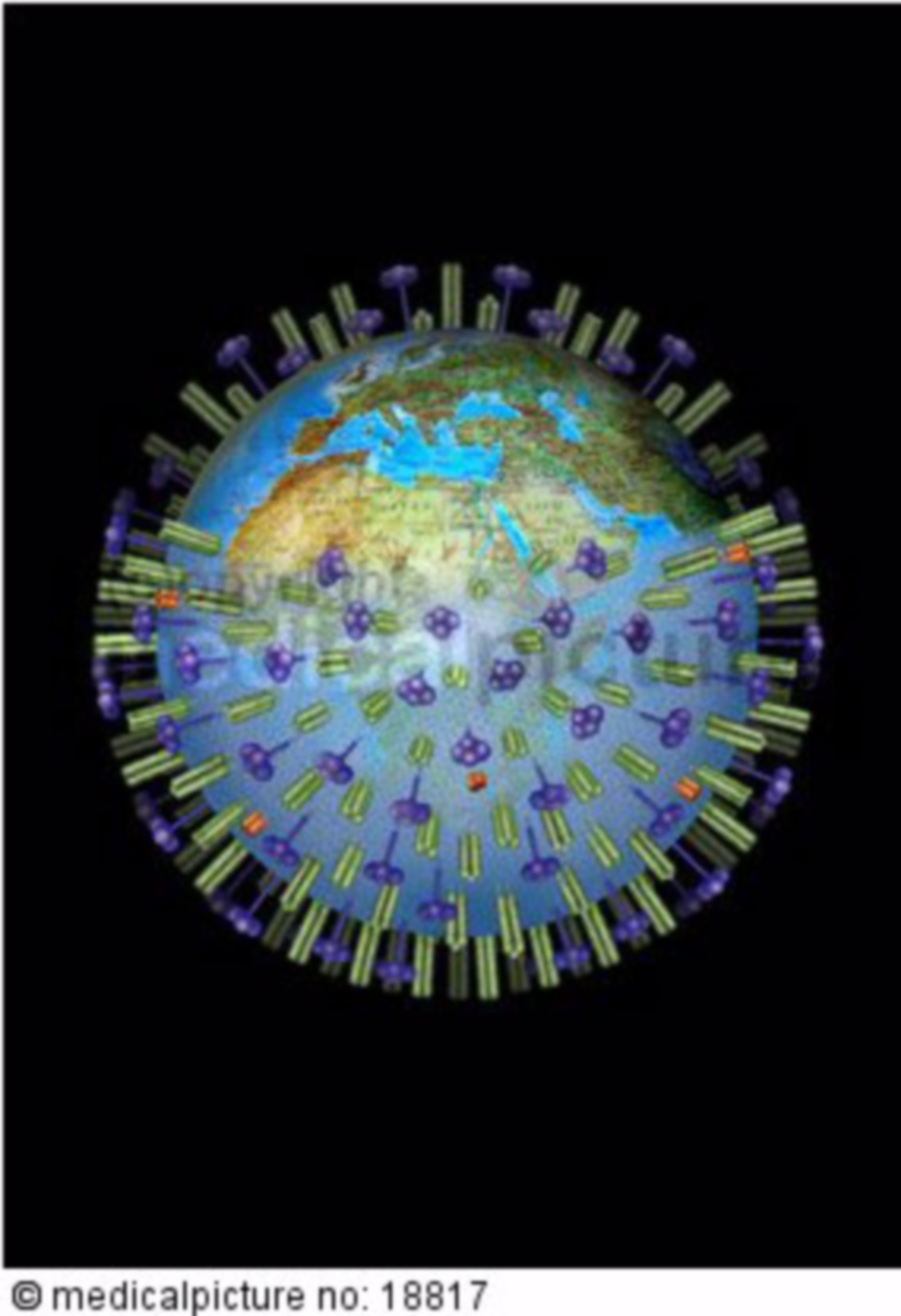  Weltweite Verbreitung des H5N1 Virus, Global  dispersion of H5N1 virus 
