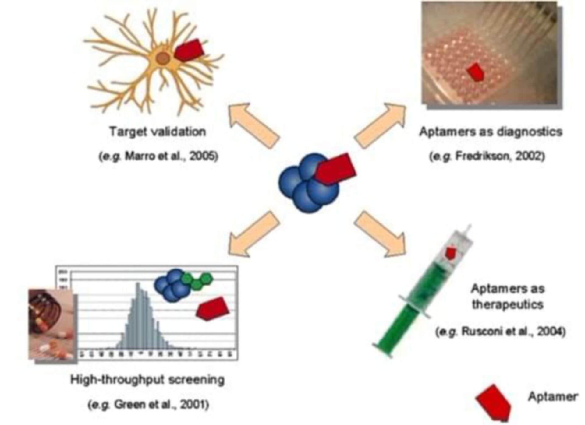 Aptamers